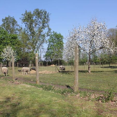 韦尔特Beej Potters住宿加早餐旅馆 外观 照片